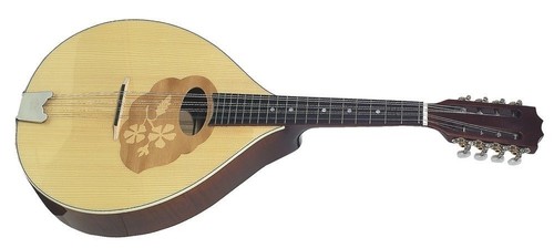 Mandolino mandola pro arte - -,