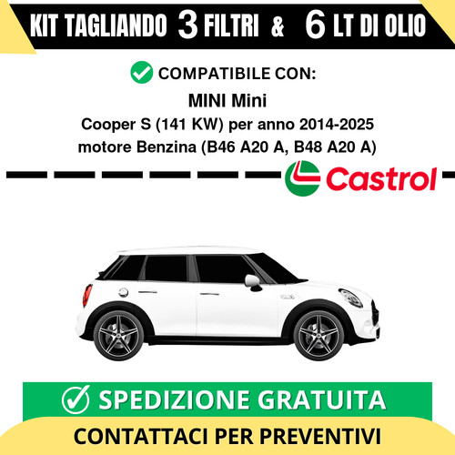Tagliando per mini - per, cooper