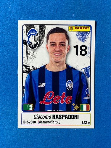 Figurine calciatori panini - calciatori,