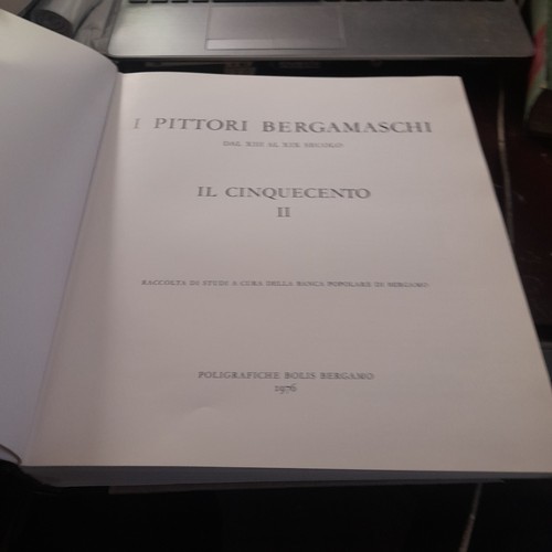 Pittori bergamaschi - pittori, il