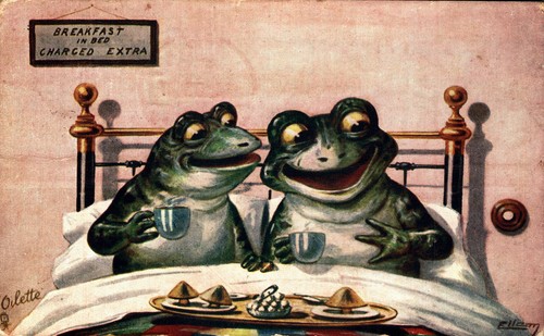 Rane antropomorfe frogs - rane,