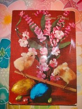 CARTOLINA BUONA PASQUA NON
