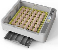 Incubadora huevos para - de,