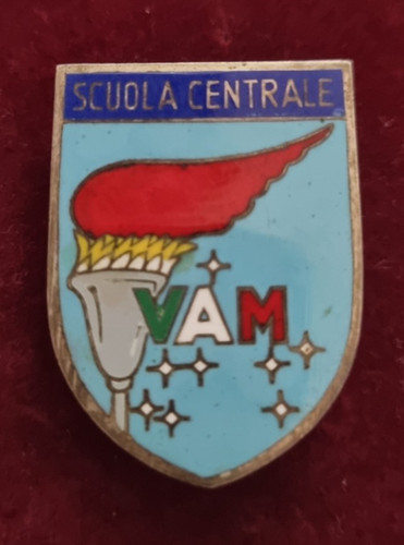 Distintivo spilla scuola - distintivo,