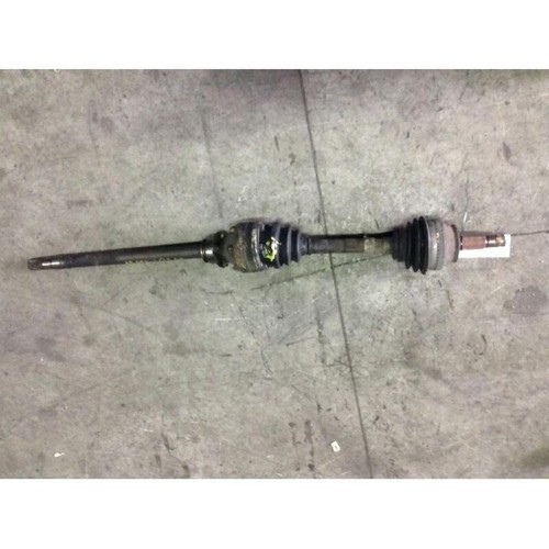 Semialbero ant alfa - dx,