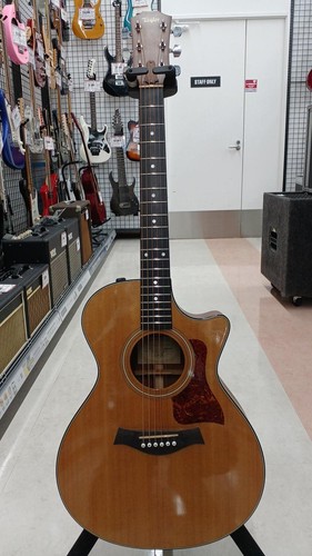 Taylor 312ce chitarra - 312ce,
