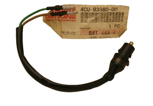 Interrutore luce freno - interrutore,