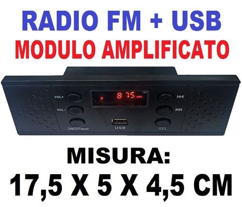 Modulo amplificato cassa - amplificato,