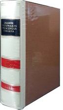 GRANDE DIZIONARIO DELLA LINGUA