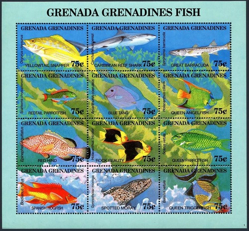 Grenada green 1690 tutto - 1690,