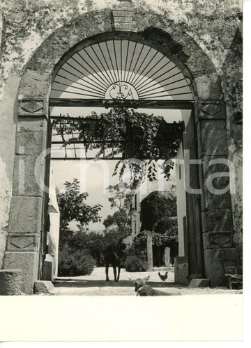 1955 carini ingresso - 1955, (pa)