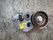 2441027250 TENDICINGHIA