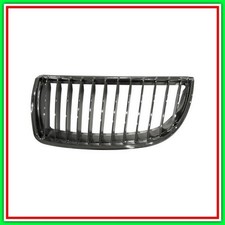 Griglia Radiatore