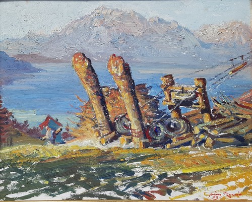 Pino roasio saluzzo - roasio, (saluzzo