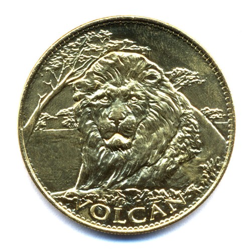 75012 parc zoologique lion - parc, zoologique,