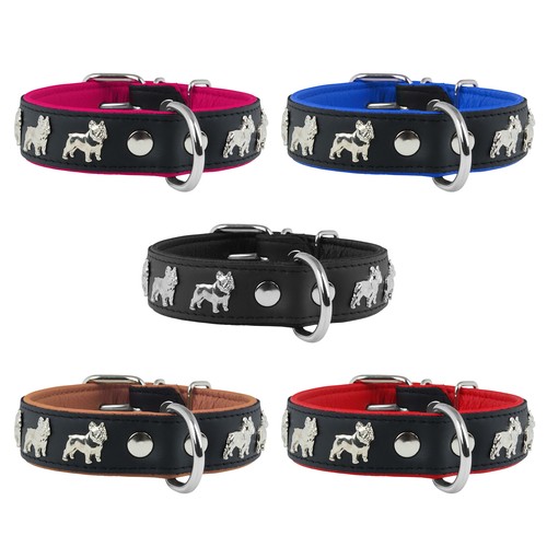 Collare pelle bulldog - collare,
