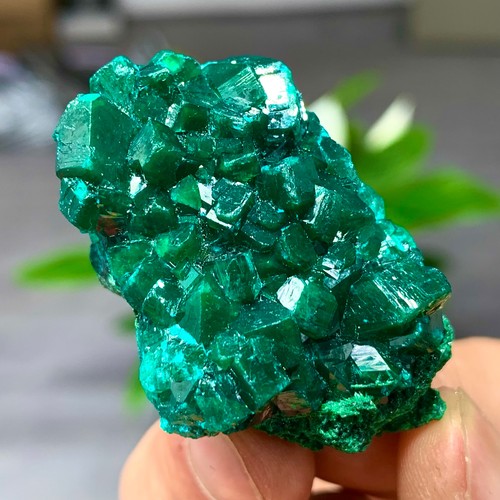 Esemplare minerale grappolo - a,