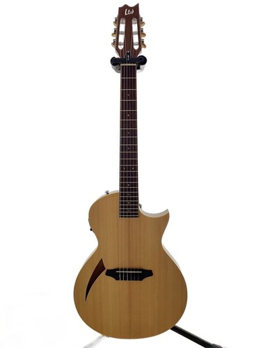 Chitarra elettrica ltd - chitarra,