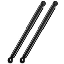 2x Ammortizzatori a Gas