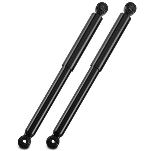 Ammortizzatori gas - 2x,