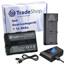 Caricabatteria doppio LCD