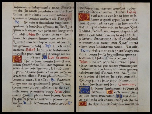 Grafia pergamena foglia - pergamena, di