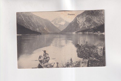 F7465 cartolina plansee in - plansee,