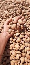 Mandorle guscio bio - mandorle,