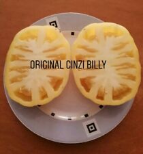 25 semi pomodoro giallo