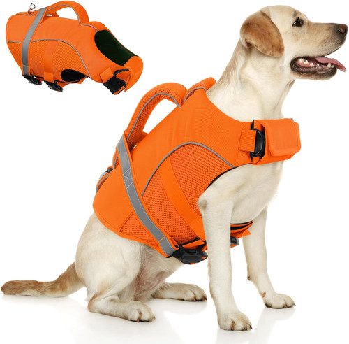 Giubbotto salvagente cane - salvagente,