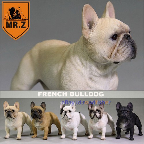 Stand bulldog francese - bulldog,