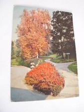 Torino - Villa Sassi - non