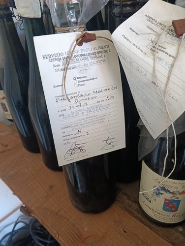 Lambrusco - lambrusco,