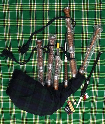 Scottish great highland - scottish,