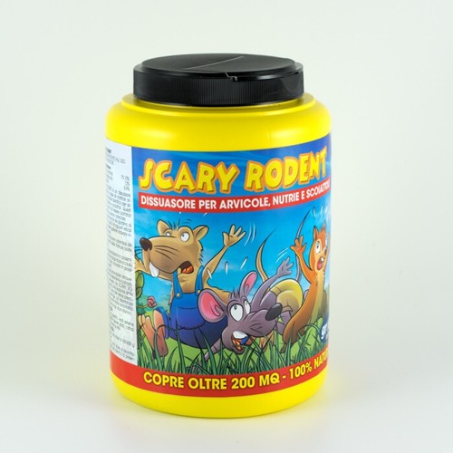 Scary rodent kg - rodent,