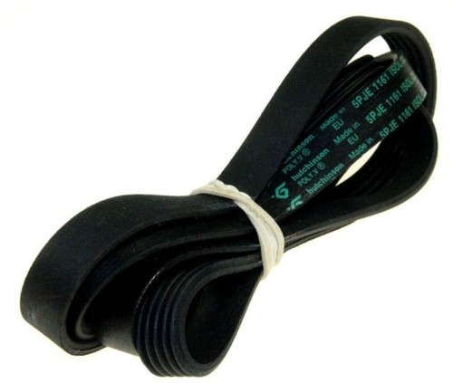 Cinghia elastica per lavatrice - cinghia,