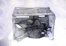 Mutti Mariarosa "Stampi anatre"  - Litografia firmata 9/50