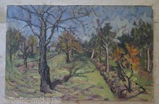 THE ORCHARD AFTER THE HARVEST