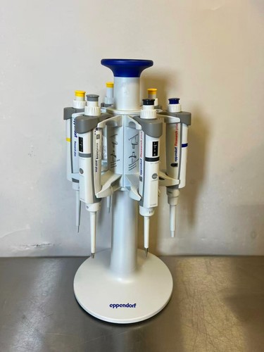 Set pipetta eppendorf - 6-,