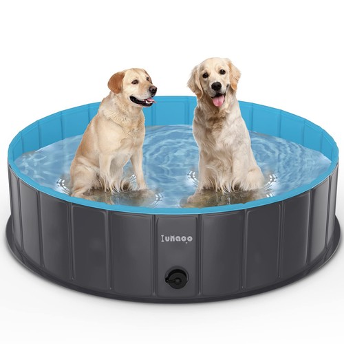 Piscina per cani grandi - piscina,