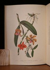 Sertum Orchidaceum; a Wreath of the Most Beautiful Flowersala John Lindley