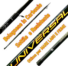 Canna da Pesca Bolognese 7Mt