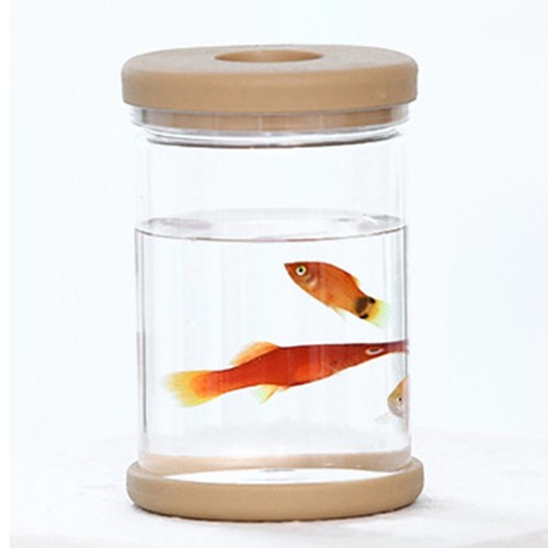 Vaso per piante - , idroponiche