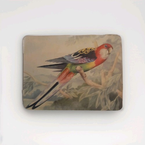 Vintage die cut scrap parrot - scrap,