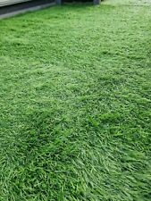 Prato sintetico erba tappeto manto giardino naturale 40mm 50mm il migliore top