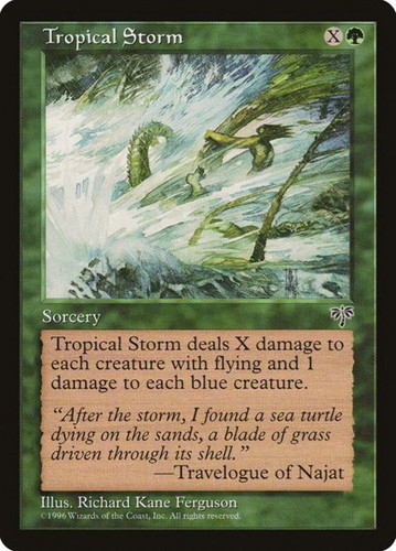 Tropical storm - storm, (246)