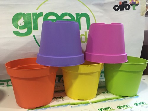 Vaso colorato plastica arca - colorato,