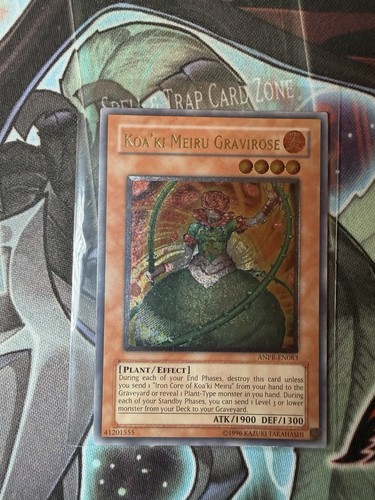 Koa meiru gravirose - meiru,