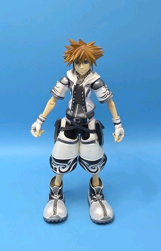 Kingdom hearts play - kingdom,