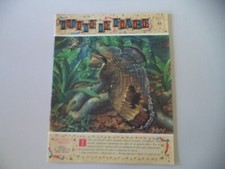 TUTTE LE FIABE - FRATELLI